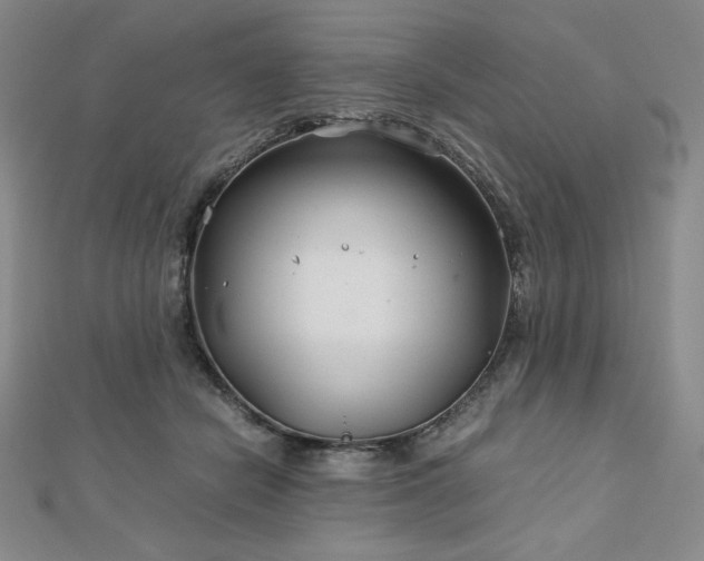 X0000113150462200909041237