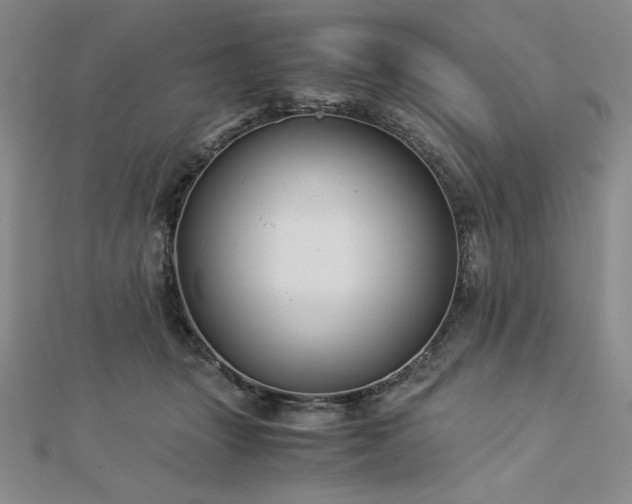 X0000113150463200909041237