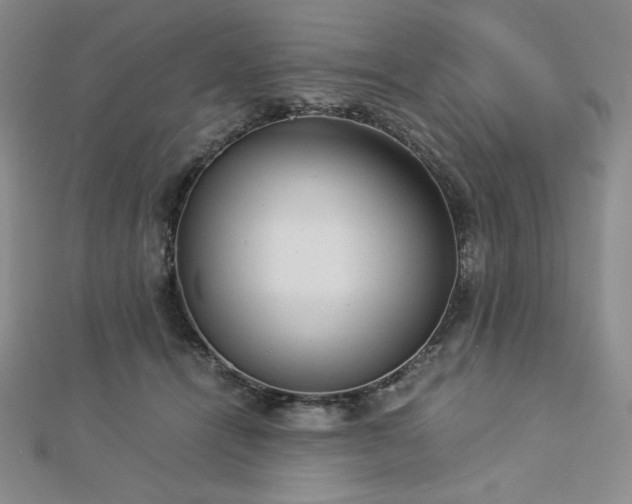 X0000113150464200909041237