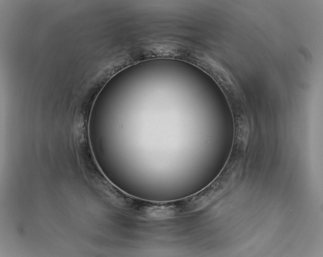 X0000113150465200909041237