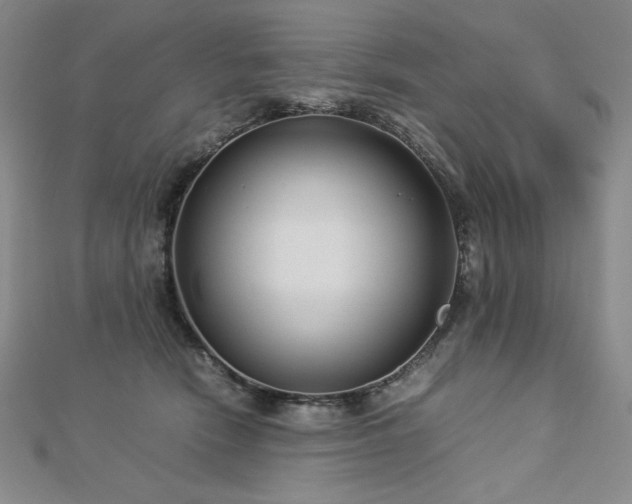 X0000113150466200909041237