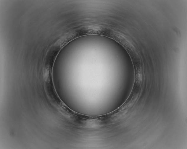 X0000113150468200909041237