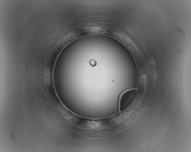 X0000113150469200909041237