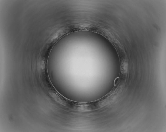 X0000113150472200909041237