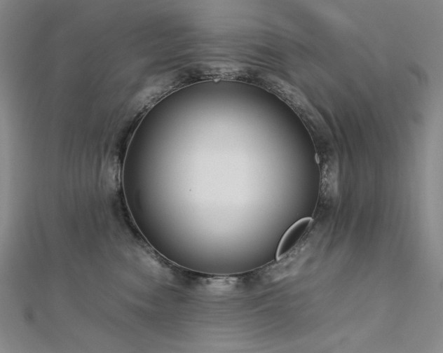 X0000113150474200909041237