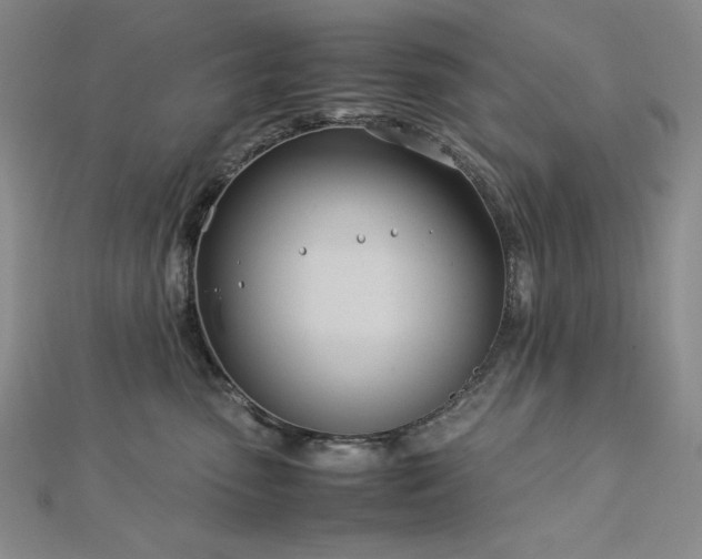 X0000113150475200909041237