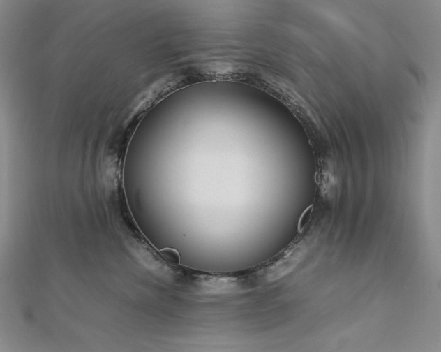 X0000113150476200909041237