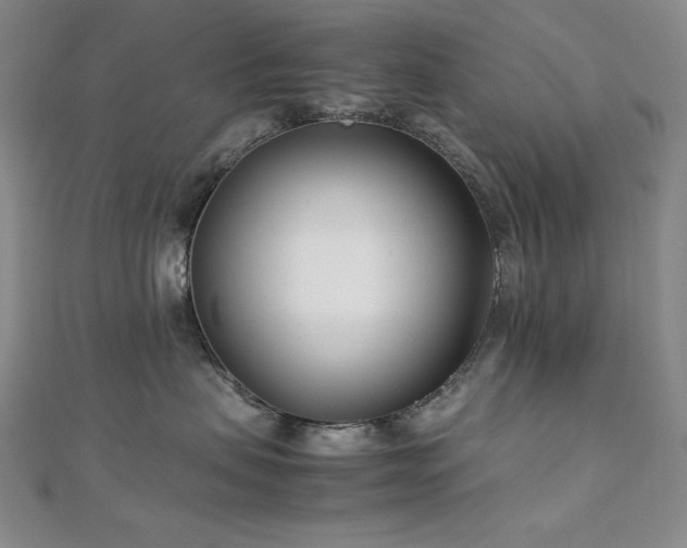 X0000113150479200909041237