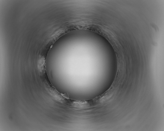 X0000113150480200909041237