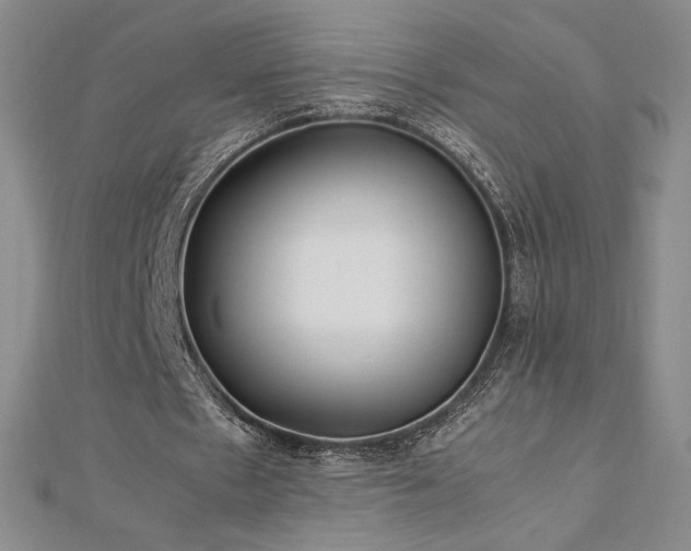 X0000113150481200909041237