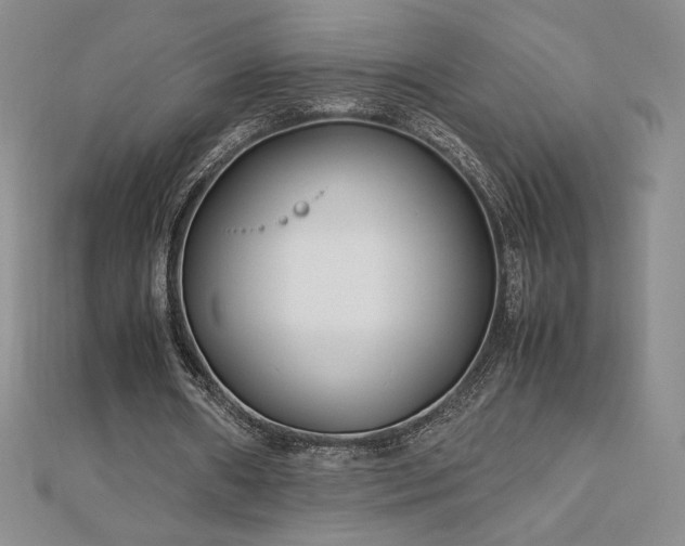 X0000113150482200909041237