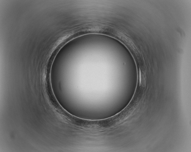 X0000113150483200909041237