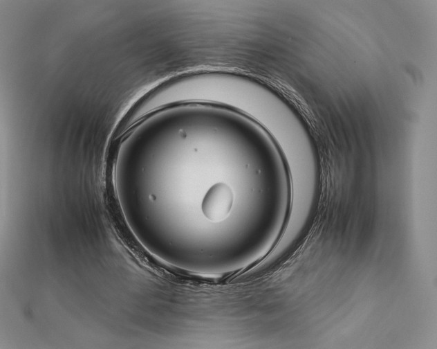 X0000113150484200909041237