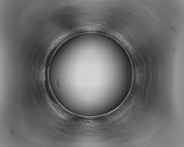 X0000113150486200909041237