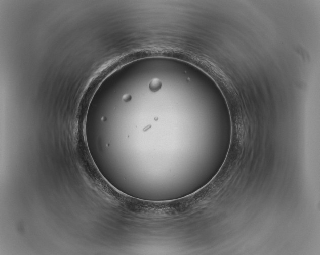 X0000113150488200909041237