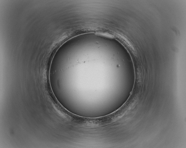 X0000113150489200909041237