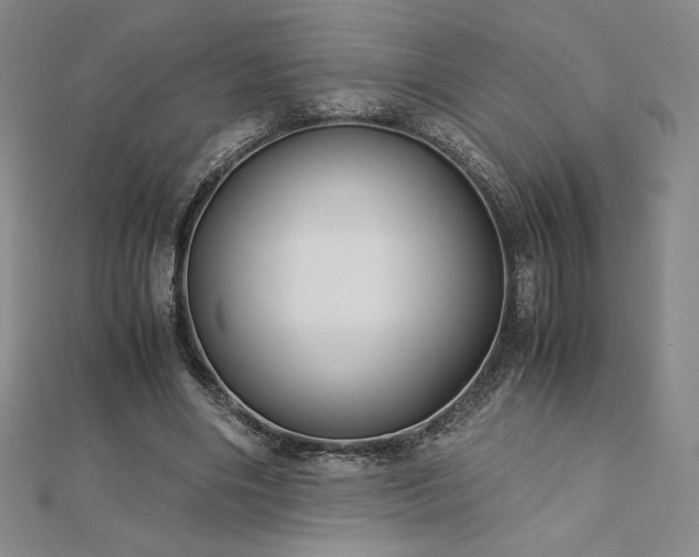 X0000113150490200909041237