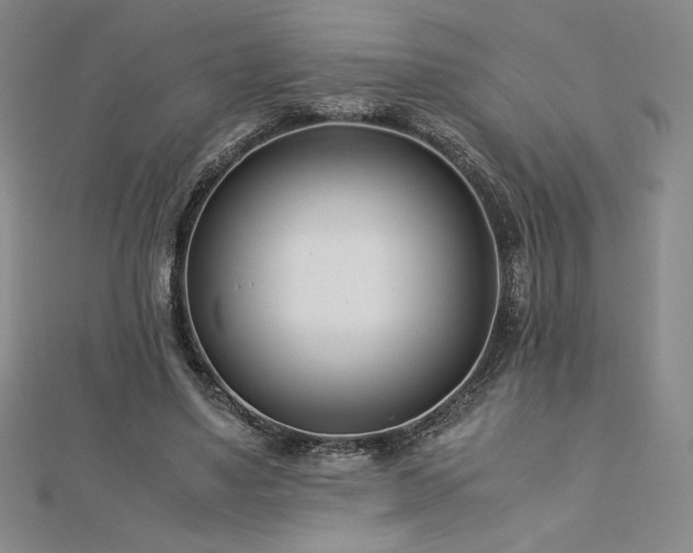 X0000113150491200909041237