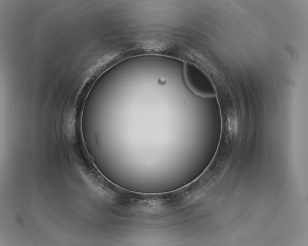 X0000113150492200909041237