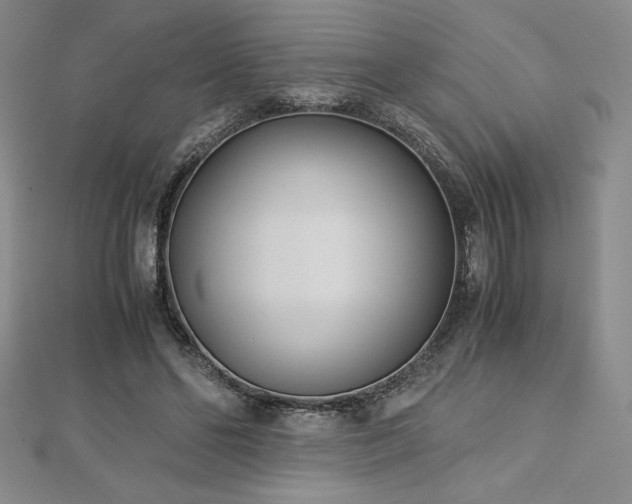 X0000113150494200909041237