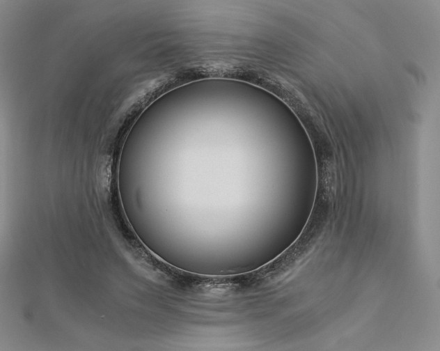 X0000113150495200909041237