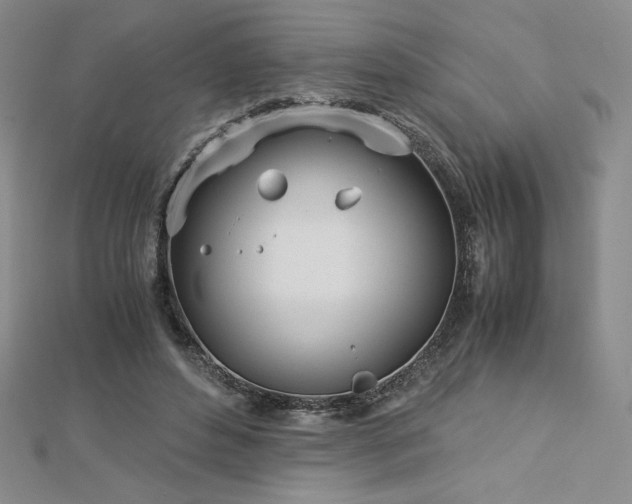 X0000113150496200909041237