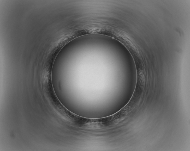 X0000113150499200909041237