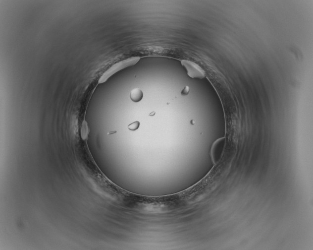 X0000113150500200909041237