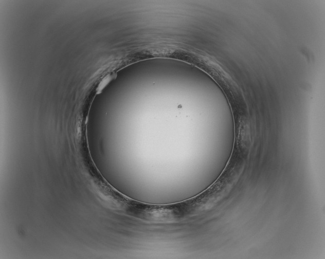 X0000113150501200909041236