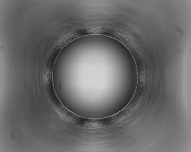 X0000113150503200909041236