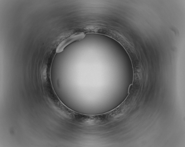 X0000113150504200909041236