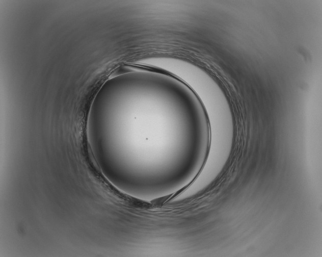 X0000113150505200909041236