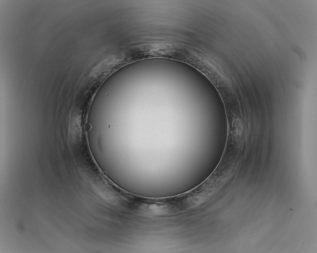 X0000113150506200909041236