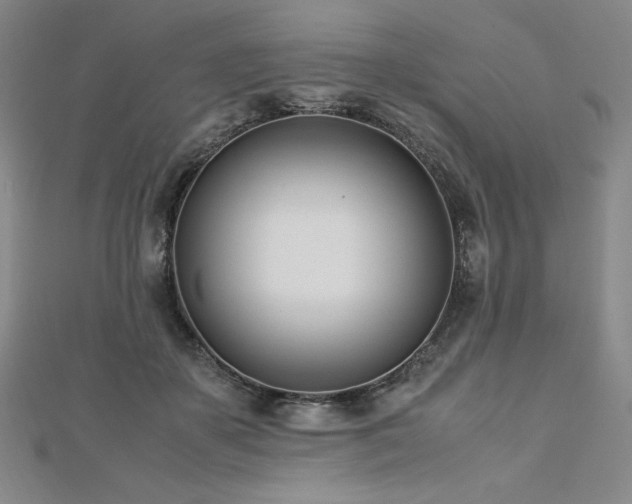 X0000113150507200909041236