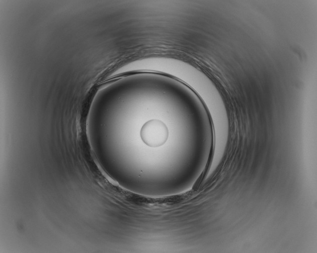 X0000113150508200909041236