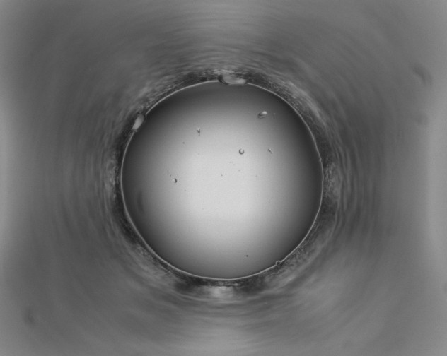 X0000113150509200909041236