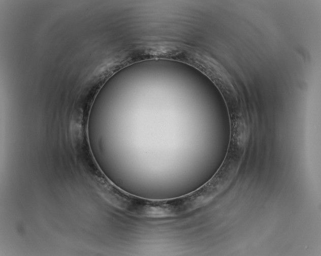 X0000113150510200909041236