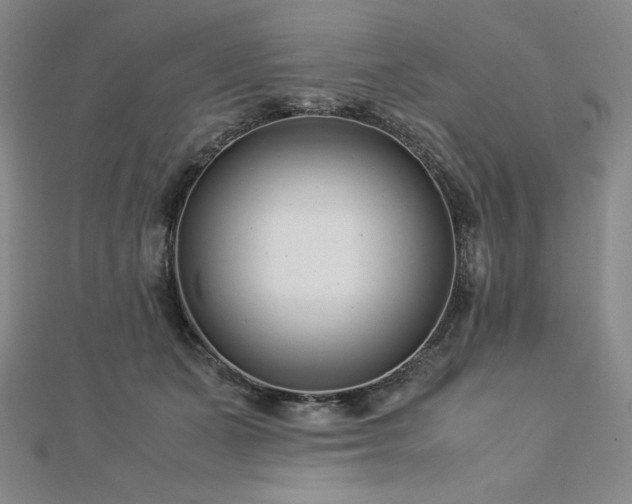 X0000113150511200909041236