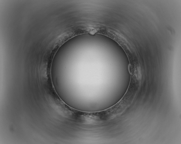 X0000113150512200909041236