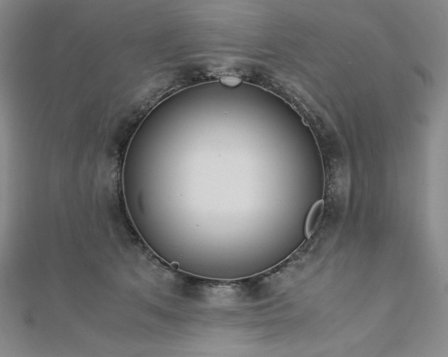 X0000113150513200909041236