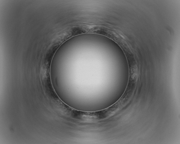 X0000113150515200909041236