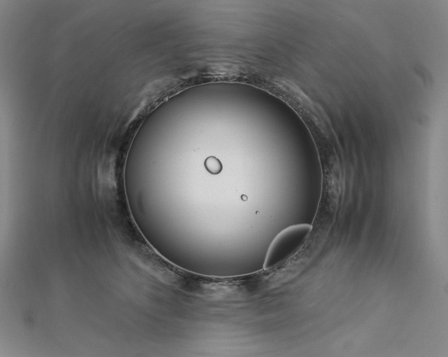 X0000113150516200909041236