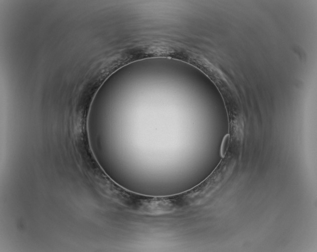 X0000113150517200909041236