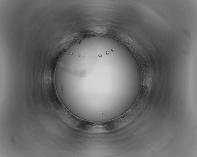 X0000113150518200909041236