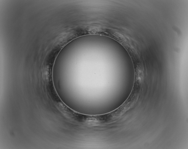 X0000113150519200909041236