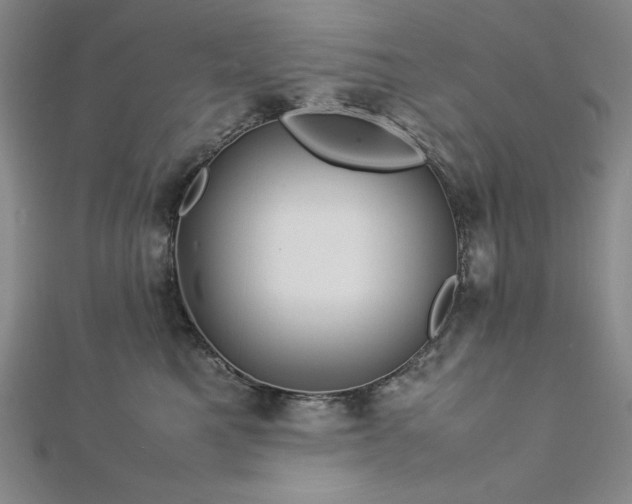 X0000113150521200909041236