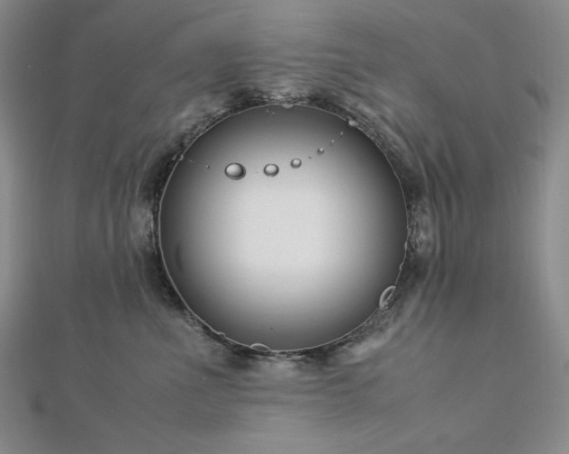 X0000113150523200909041236