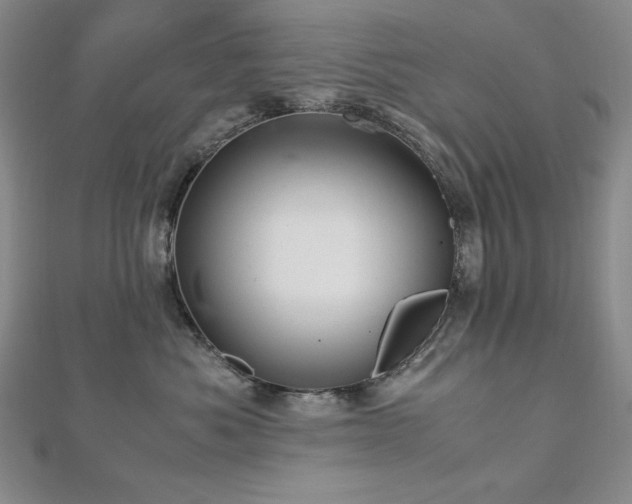 X0000113150525200909041236