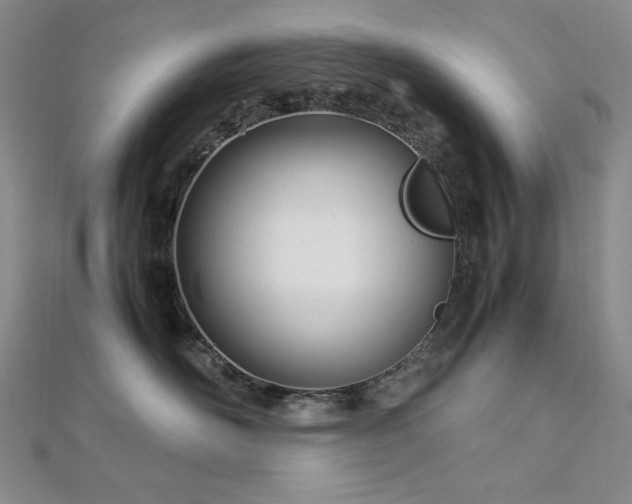 X0000113150526200909041236