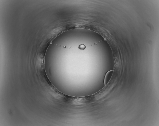 X0000113150527200909041236